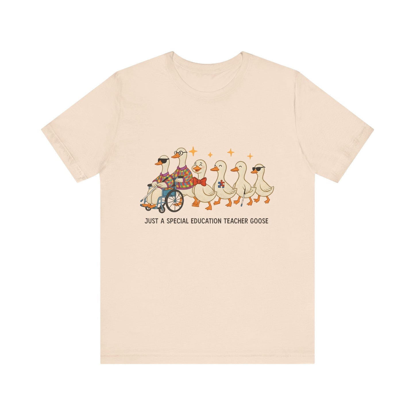 Special Education Teacher Goose Tee
